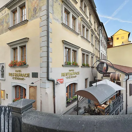 U 3 Pstrosu Hotel Praga
