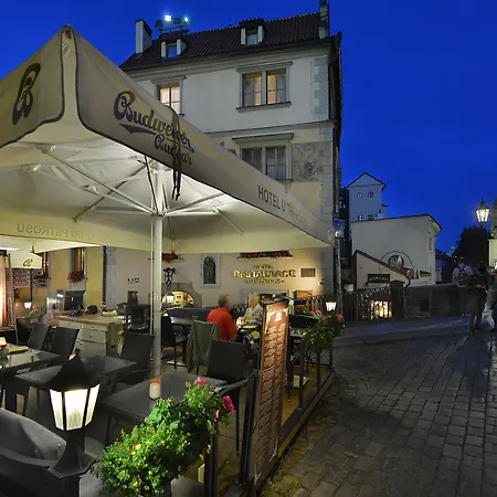 Hotel U 3 Pstrosu Praga