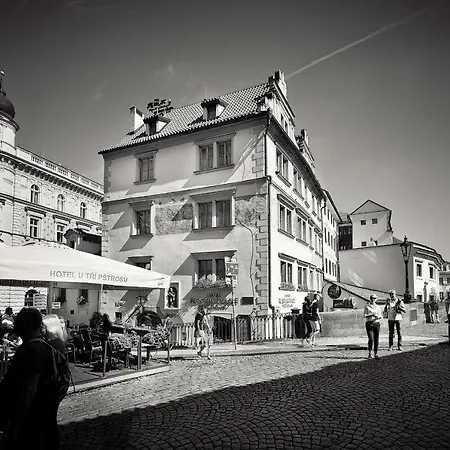 Hotel U 3 Pstrosu Prag