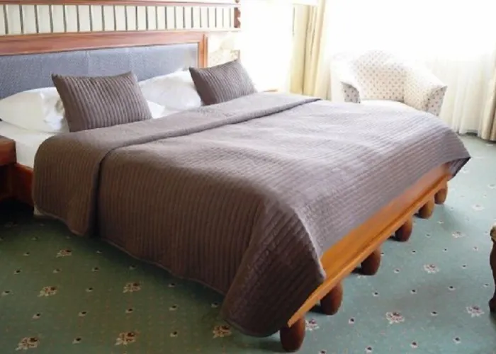 Hotel U 3 Pstrosu 4*