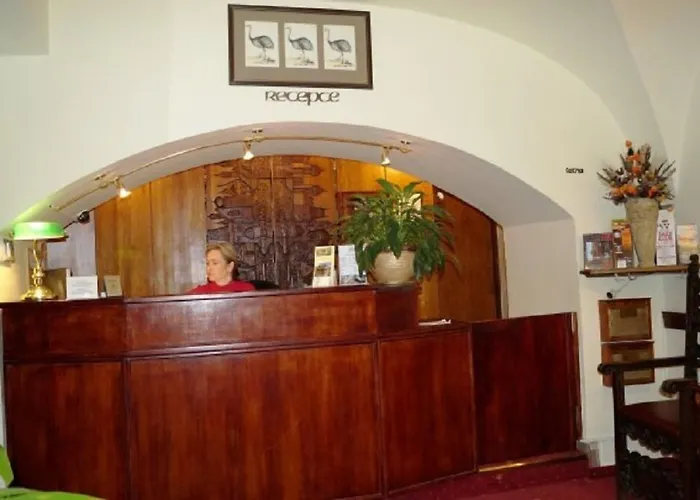 U 3 Pstrosu 4* Prague