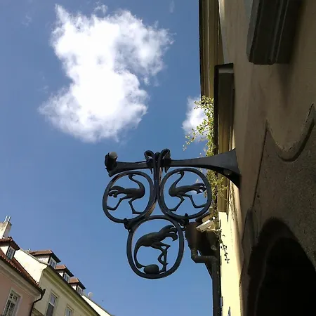 U 3 Pstrosu Praga