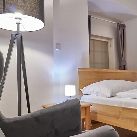Hotel U 3 Pstrosu Praga