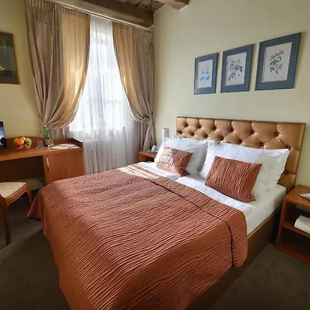 Hotel U 3 Pstrosu Praga