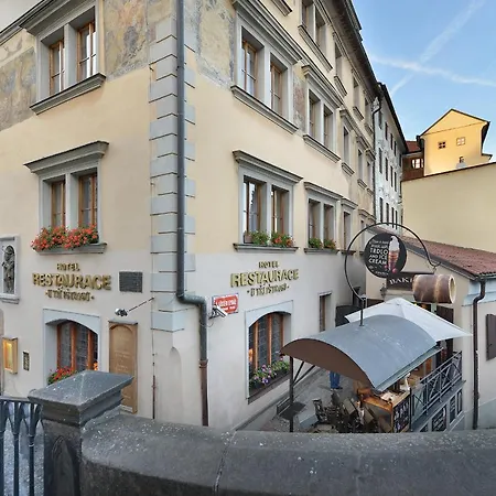 U 3 Pstrosu Praga